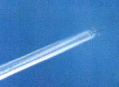 Bei diesem Flugzeug beginnen die Kondensstreifen schon vor dem Heckleitwerk = Verdacht auf Chemie-Sprhen (Bild aus Internet)