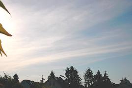 09.06.2004: 07 Uhr 25: Ausbreitung der Chemtrailwolke, Ortsverlagerung durch Hhenstrmung