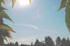 09.06.2004: 07 Uhr 40: Chemtrailwolke wurde durch Hhenstrmung verlagert, hinterlsst schwach silbrig-dunstige Aluminium-Partikel-Atmosphre