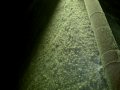 winter0017