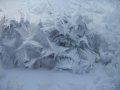 winter0034