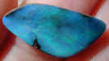 dscn6044